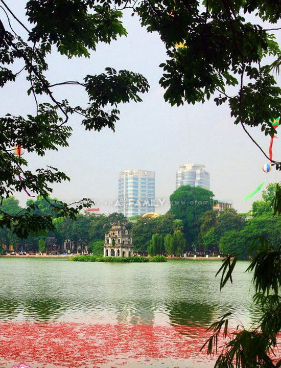 Hè về, sắc phượng đỏ thắm bên hồ Gươm Hè về, sắc phượng đỏ thắm bên hồ Gươm