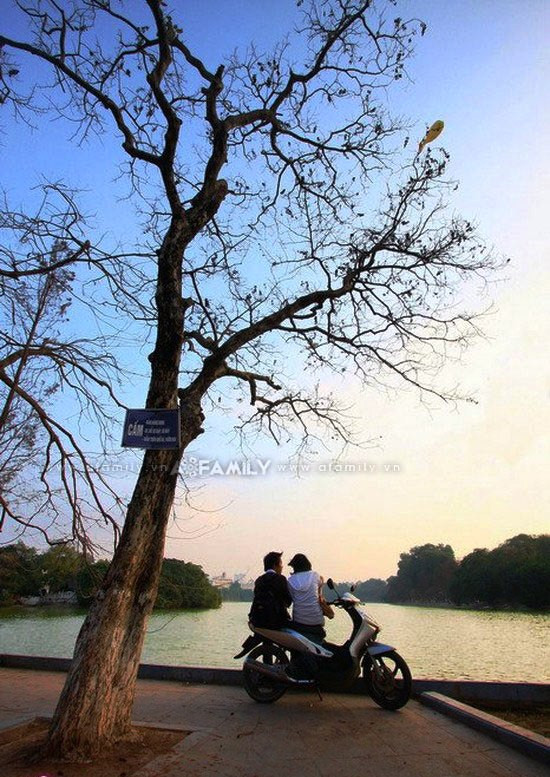 Mặc cho không khí oi bức cùng nắng nóng của mùa hạ tràn về, hồ Gươm lúc nào cũng mang lại một bầu không khí trong lành và mát mẻ đến lạ kỳ. Mặc cho không khí oi bức cùng nắng nóng của mùa hạ tràn về, hồ Gươm lúc nào cũng mang lại một bầu không khí trong lành và mát mẻ đến lạ kỳ.