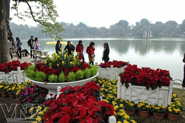 Muôn hoa lại khoe sắc ven hồ chào đón mùa xuân. Muôn hoa lại khoe sắc ven hồ chào đón mùa xuân.