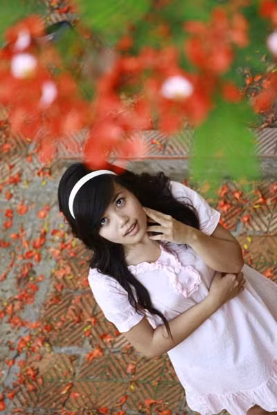 Sắc phượng ấy luôn làm xao xuyến những cô cậu học trò.