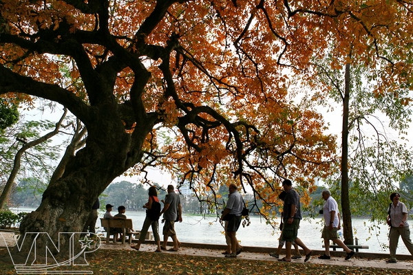 Khi gió thu se se lạnh, những cây lộc vừng ven hồ trổ những chùm hoa e ấp và run rẩy trong gió. Mới chiều tối còn thấp thoáng mà sáng ra đã rụng đỏ cả gốc cây và mặt hồ. Khi gió thu se se lạnh, những cây lộc vừng ven hồ trổ những chùm hoa e ấp và run rẩy trong gió. Mới chiều tối còn thấp thoáng mà sáng ra đã rụng đỏ cả gốc cây và mặt hồ.