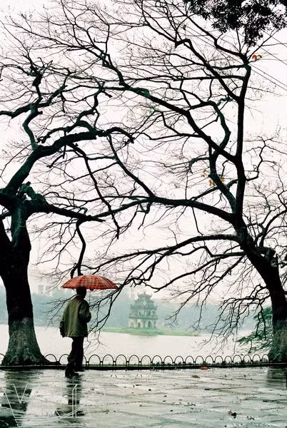 Lúc gió đông lùa hơi lạnh tới từng ngõ phố, hồ Gươm như thu mình ủ ấm với sắc nước nhẹ êm, những cành cây rụng lá khẳng khiu đợi xuân sang sẽ đâm chồi, nảy lộc.