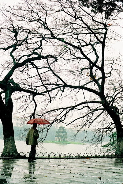 Lúc gió đông lùa hơi lạnh tới từng ngõ phố, hồ Gươm như thu mình ủ ấm với sắc nước nhẹ êm, những cành cây rụng lá khẳng khiu đợi xuân sang sẽ đâm chồi, nảy lộc. Lúc gió đông lùa hơi lạnh tới từng ngõ phố, hồ Gươm như thu mình ủ ấm với sắc nước nhẹ êm, những cành cây rụng lá khẳng khiu đợi xuân sang sẽ đâm chồi, nảy lộc.