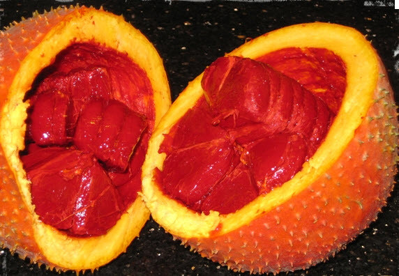 3. Quả gấc. Các thực phẩm màu đỏ cũng gây cho thị giác sự kích thích, làm cho chúng ta nở nang dạ dày, tăng cảm giác thèm ăn.