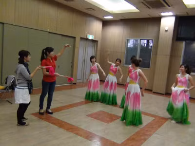 Đại nhạc hội VYSA 2011: “Việt Nhật – Ước mơ và Nỗi nhớ” ảnh 2