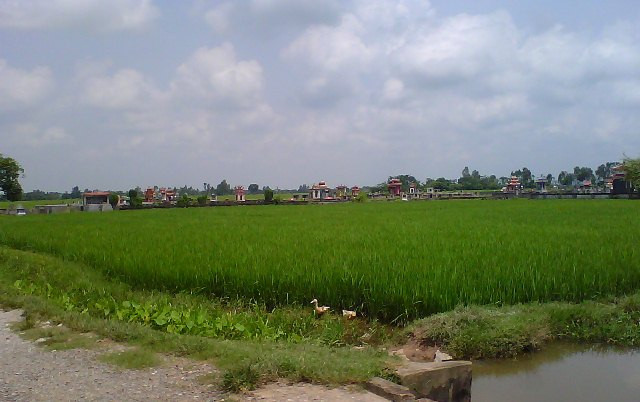 Một góc khu nghĩa địa ở thôn Phú Giáp, xã Yên Phong, huyện Ý Yên, tỉnh Nam Định - nơi được coi là thôn có số người nghiện ma túy nhiều nhất xã.