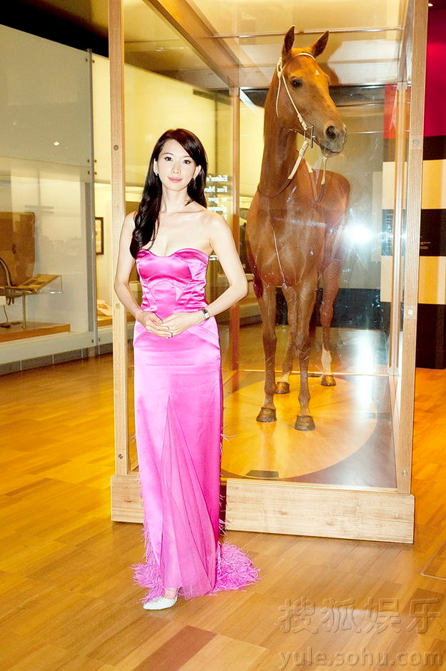 Chiếc váy dài chấm gót có đính lông vũ mềm mại, lạ mắt. Chiếc váy dài chấm gót có đính lông vũ mềm mại, lạ mắt.