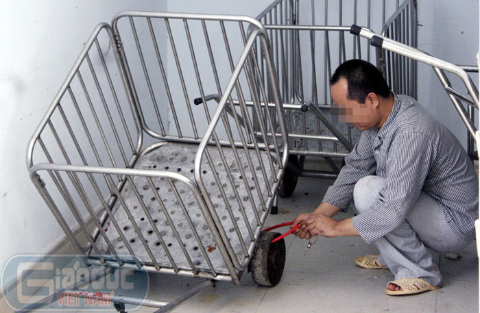 Trong bệnh viện tâm thần Trung ương, có rất nhiều người tưởng như đã khỏi về hòa nhập với cộng đồng nhưng rồi cuộc sống khắc nghiệt lại đẩy họ vào vực sâu của stress nặng rồi trầm cảm và cuối cùng lại phải quay trở lại Bệnh viện tâm thần. Có những người đã ăn ở bệnh viện thành quá quen và trong một phút tỉnh táo họ vẫn nói những ước mơ được làm cha của những đứa con, mơ ước được sống hòa nhập với cộng đồng, có việc làm, mơ ước đừng bị hắt hủi vì đã từng là những người không bình thường và hơn hết là được sống một cuộc sống bình thường như bao con người khác...