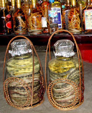 Theo các chuyên gia, không nên coi rượu rắn là rượu bổ. v Theo các chuyên gia, không nên coi rượu rắn là rượu bổ.