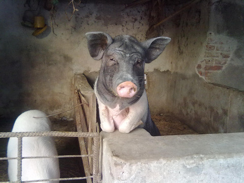 Dáng chuẩn chưa anh?