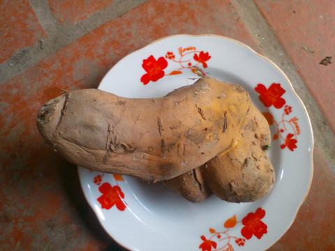 Củ khoai có hình dáng ngộ nghĩnh.