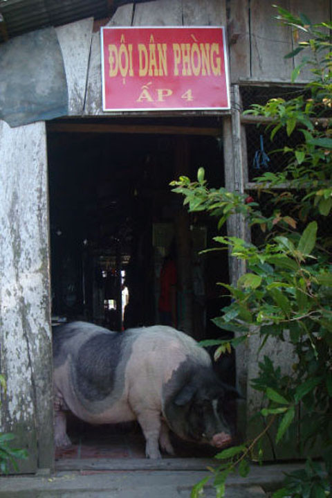 Đội dân phòng...?