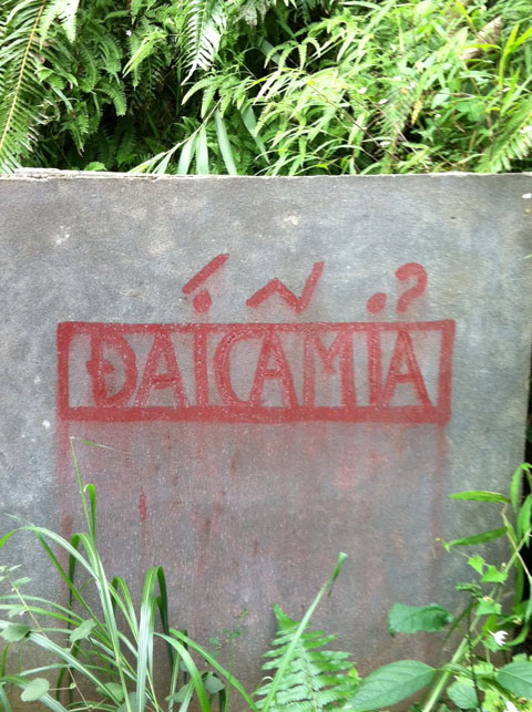 Cho phép tiểu tiện, chỉ cấm đại tiện?