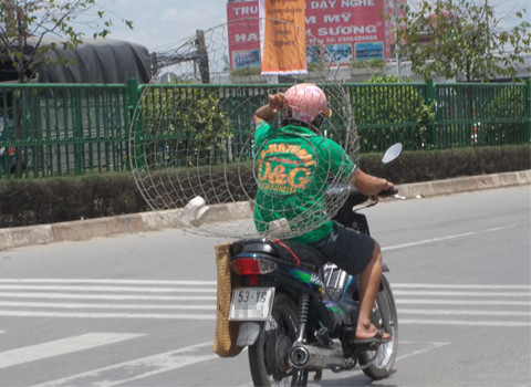 Chụp tại quốc lộ 1A. Ảnh: Trần Thị Hạnh Chụp tại quốc lộ 1A. Ảnh: Trần Thị Hạnh