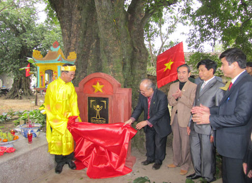 Lễ gắn biển 5 cây thị cổ sáng 16/3. Ảnh: Nguyên Khoa.