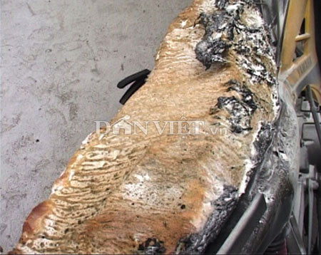 Hiện trường vụ cháy xe Hiện trường vụ cháy xe