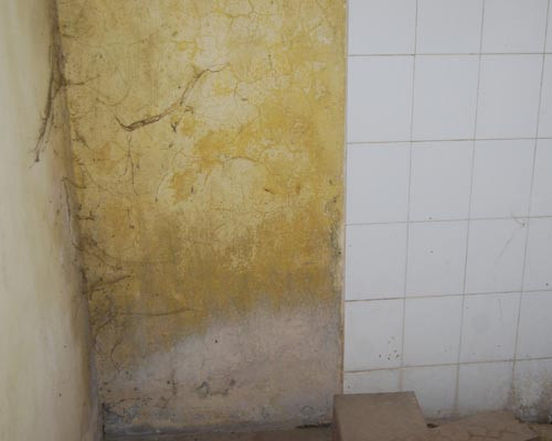 Mạng nhện bám nhằng nhịt Mạng nhện bám nhằng nhịt