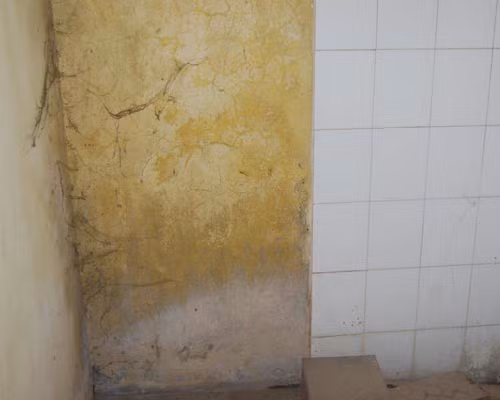 Mạng nhện bám nhằng nhịt