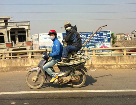 Nhìn gì mà nhìn! Nhìn gì mà nhìn!