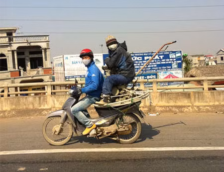 Nhìn gì mà nhìn!