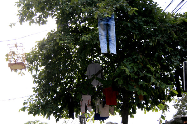 Có lẽ treo quần áo lên cây là nhanh khô hơn cả Có lẽ treo quần áo lên cây là nhanh khô hơn cả