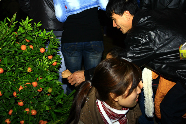 Các bậc phụ huynh còn sẵn sàng ấn tay con vào sờ các cây cảnh Các bậc phụ huynh còn sẵn sàng ấn tay con vào sờ các cây cảnh