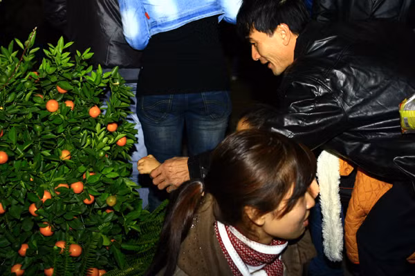 Các bậc phụ huynh còn sẵn sàng ấn tay con vào sờ các cây cảnh