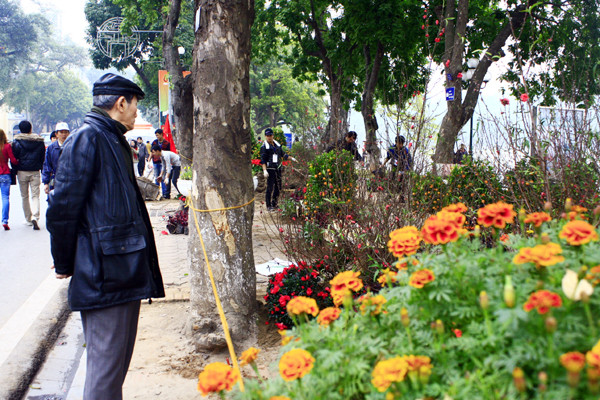 Để tránh việc khách du lịch có thể làm hỏng những chậu hoa, BTC đã căng dây thừng và cho bảo vệ đứng trông chừng. Để tránh việc khách du lịch có thể làm hỏng những chậu hoa, BTC đã căng dây thừng và cho bảo vệ đứng trông chừng.