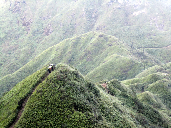 Thảm thực vật ở đây được chia làm nhiều tầng bậc