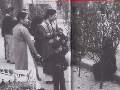 Một góc khác của chợ hoa đào - Ảnh: Sưu tầm