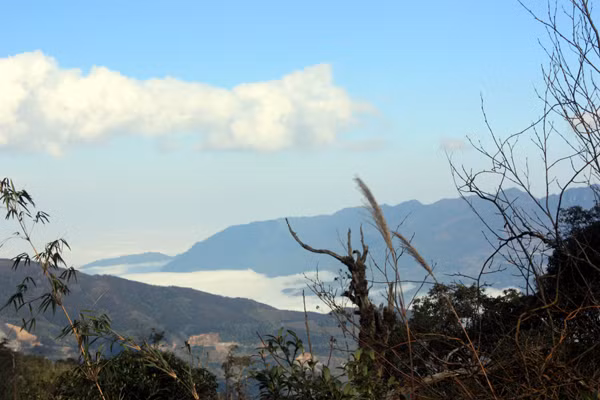 Dãy Hoàng Liên chạy dài 280 km từ Phong Thổ (Lai Châu) về đến tỉnh Hoà Bình, bề ngang chân núi ở đoạn rộng nhất lên tới 75km và đoạn hẹp nhất là 45km, gồm 3 khối núi lớn, khối Bạch Mộc Lương Tử, khối Phan-Xi-Păng và khối Pu Luông được mệnh danh là nóc nhà Tổ quốc.