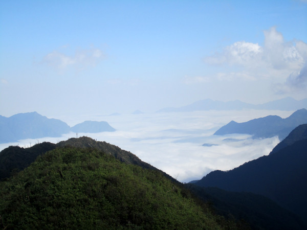 Gió mây như hoà quyện với rừng cây, có lúc xoè tay tưởng như có thể nắm được mây.