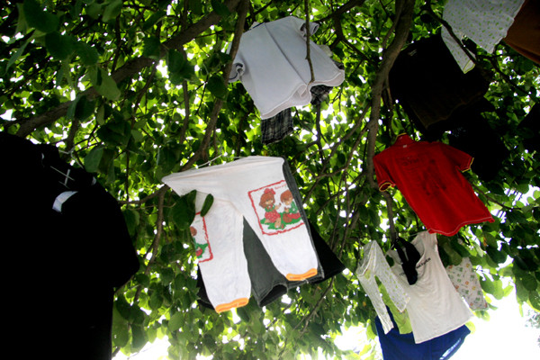 Nhiều gia đình không có chỗ trống để phơi quần áo, đã tận dụng những cây xanh trước phố để phơi quần áo như thế này Nhiều gia đình không có chỗ trống để phơi quần áo, đã tận dụng những cây xanh trước phố để phơi quần áo như thế này