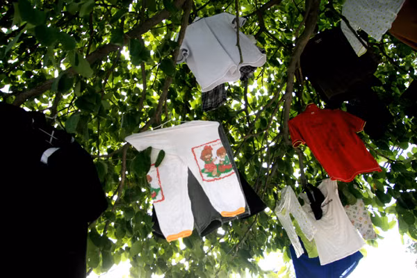 Nhiều gia đình không có chỗ trống để phơi quần áo, đã tận dụng những cây xanh trước phố để phơi quần áo như thế này Nhiều gia đình không có chỗ trống để phơi quần áo, đã tận dụng những cây xanh trước phố để phơi quần áo như thế này