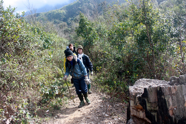 Đỉnh Phan-Xi-Păng là một bảo tàng thiên nhiên kỳ vĩ mà nổi bật là thảm thực vật với hơn 700 loài đặc hữu và quý hiếm.