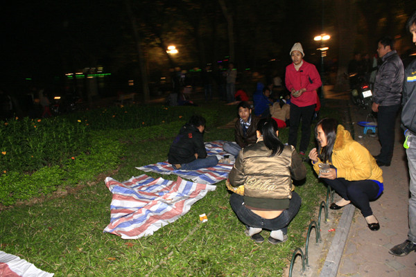 Các bãi cỏ bị dày xéo