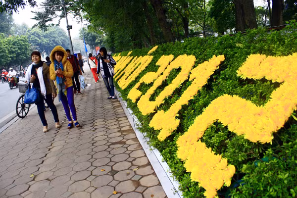 Những ngày trước khai mạc phố Hoa 2012, chỉ các bạn trẻ là hứng khởi hơn cả