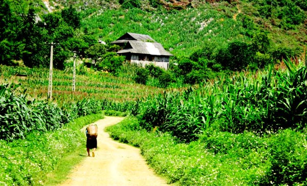 Trong “Tứ đại đất Mường” - bốn cái nôi văn minh lớn và cổ xưa nhất của xứ Mường, người xưa căn cứ theo diện tích vùng, dân số, sự sung túc, gái đẹp, rượu cần ngon, quyền lực của nhà Lang, trâu bò nhiều và những chiếc chiêng có tiếng vang xa nhất mà phân theo thứ tự: nhất Bi, nhì Vang, tam Thàng, tứ Động.