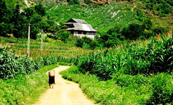Trong “Tứ đại đất Mường” - bốn cái nôi văn minh lớn và cổ xưa nhất của xứ Mường, người xưa căn cứ theo diện tích vùng, dân số, sự sung túc, gái đẹp, rượu cần ngon, quyền lực của nhà Lang, trâu bò nhiều và những chiếc chiêng có tiếng vang xa nhất mà phân theo thứ tự: nhất Bi, nhì Vang, tam Thàng, tứ Động.