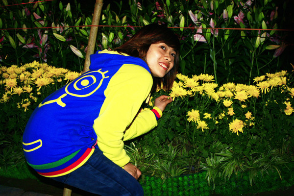 Mỗi người chỉ cần sờ nắn hoa một chút như thế này trong phố hoa 2012 cũng đủ cho hoa tan nát như những năm trước Mỗi người chỉ cần sờ nắn hoa một chút như thế này trong phố hoa 2012 cũng đủ cho hoa tan nát như những năm trước