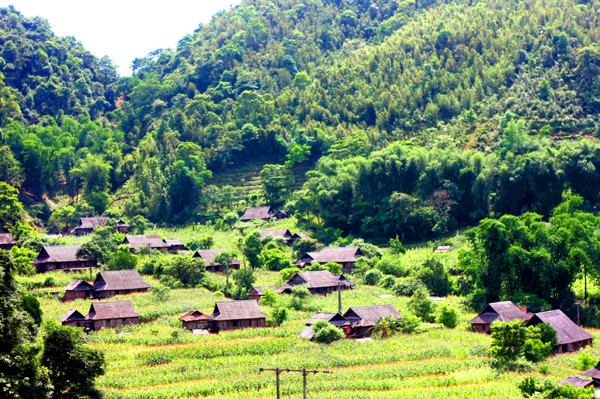 Những nóc nhà san sát của người Mường trong Thung mây