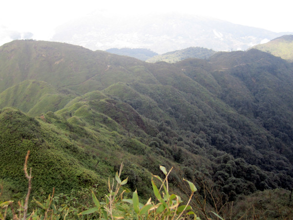 Sự hoành tráng của Phan Xi Păng có một sức hút kì lạ