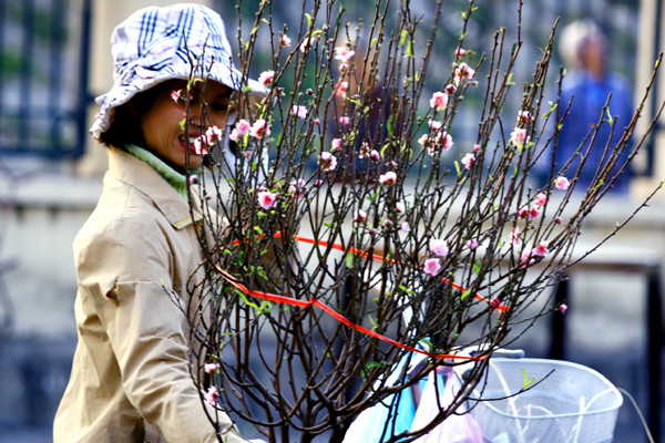 "Chở" Tết về nhà sớm với giá rẻ "Chở" Tết về nhà sớm với giá rẻ