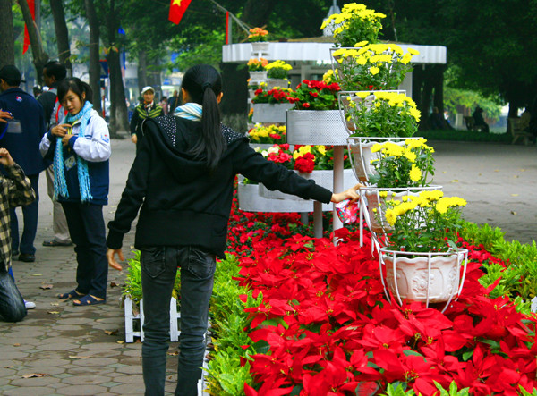 Rất nhiều bạn trẻ tranh thù tạo dáng bên các giỏ hoa dù bị bảo vệ liên tục tuýt còi Rất nhiều bạn trẻ tranh thù tạo dáng bên các giỏ hoa dù bị bảo vệ liên tục tuýt còi
