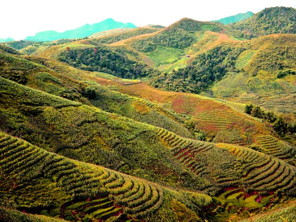 Cảnh sắc thần tiên nhìn từ trên cao xuống xứ sở đệ nhất của người Mường