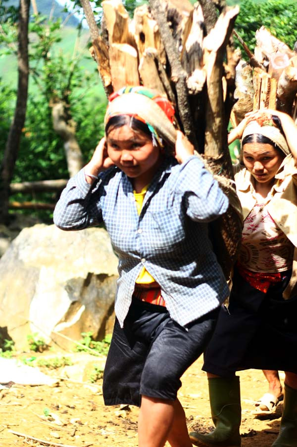 Vào mùa này, các phụ nữ của Thung mây thường tranh thủ đi địu củi bán