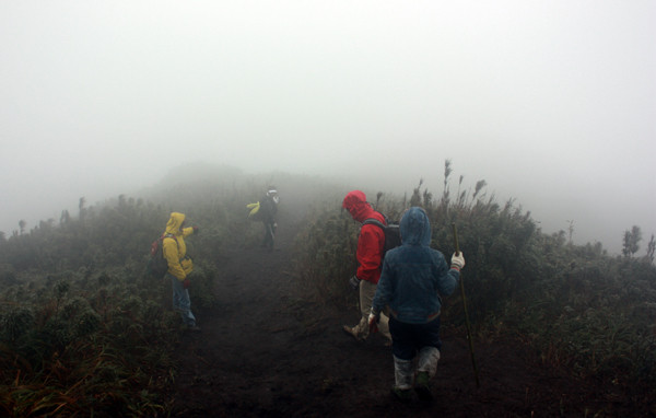 Để lên được đỉnh Phan Xi Păng, không phải ai cũng làm được !