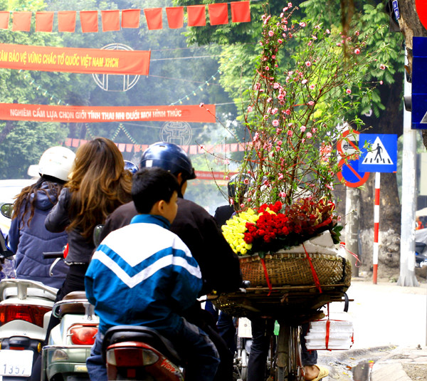 Sắc hồng hoa đào lác đác giữa phố phường Hà Nội chờ đón một mùa xuân mới đang về Sắc hồng hoa đào lác đác giữa phố phường Hà Nội chờ đón một mùa xuân mới đang về