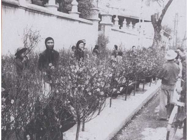 Một góc chợ hoa đào Tết - Ảnh: Sưu tầm