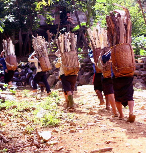 Bà con nông dân vùng cao vẫn cặm cụi trên nuơng địu từng bó củi lớn